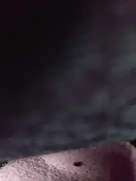 Bumslappa webcam