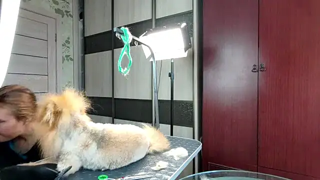 DainaCampagnini webcam