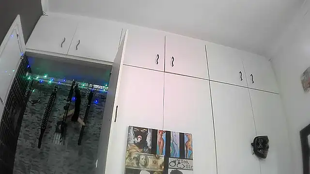 BaDSubMiss webcam
