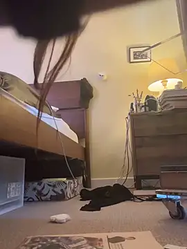 Poonmathafucker1 webcam