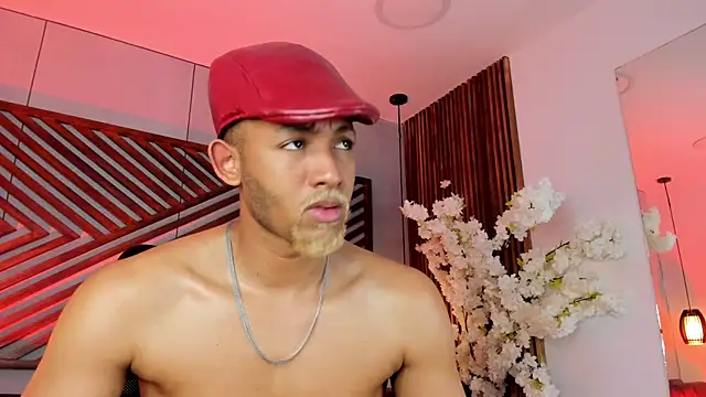 B_Wild webcam