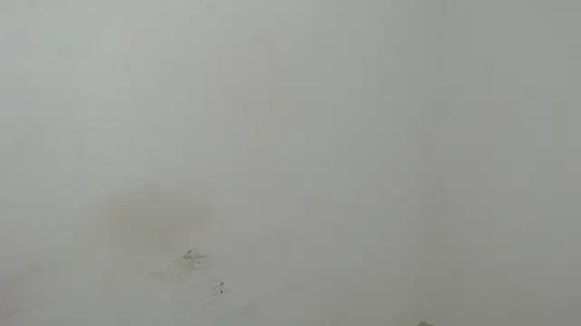 estefania224 webcam