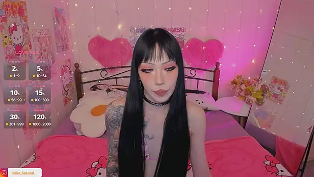 Misa_Sakurai webcam