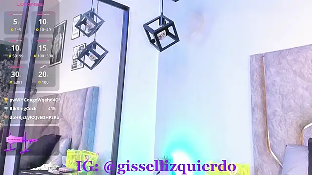 Liincostelloo webcam