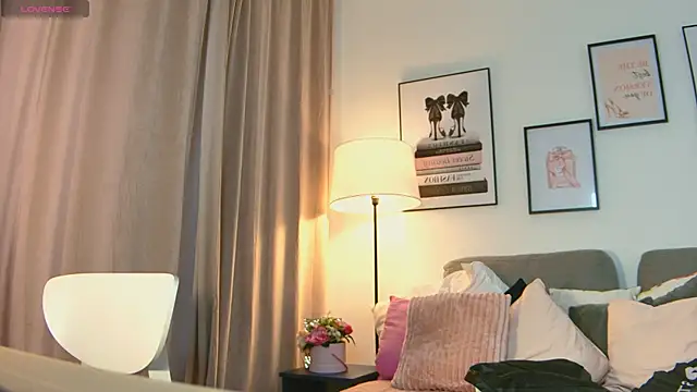 EvaEvis webcam