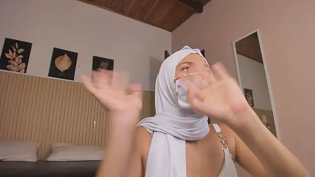 LittleNoor webcam