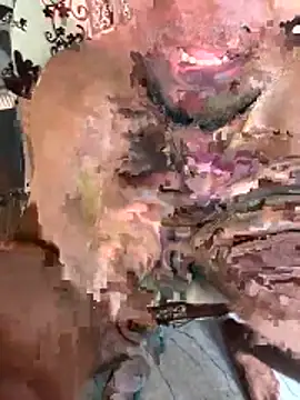wild_x_predator webcam