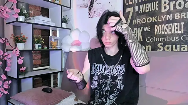 softcollision webcam