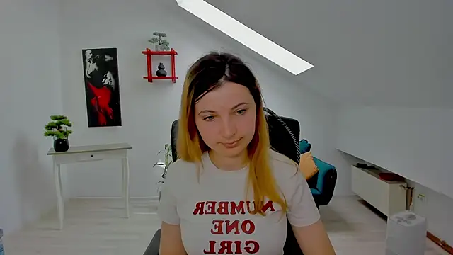 CamelliaStone webcam