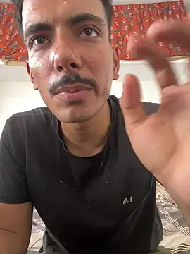 vipulreal webcam