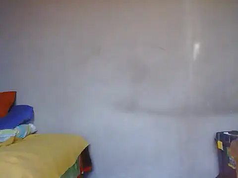 kolmbusinesss webcam
