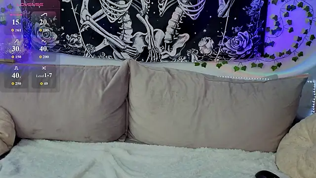LaneFilipps webcam