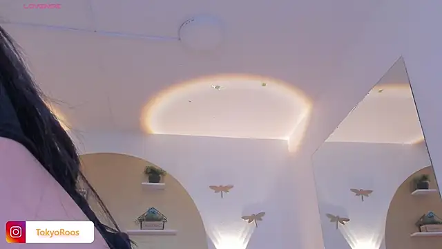 TokyoHaskel webcam