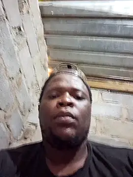 silverbearboy webcam