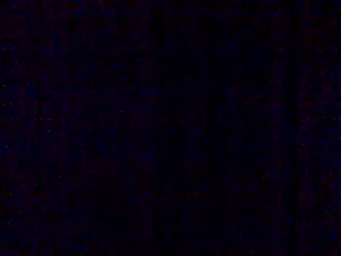 steelwings1976 live cam on StripChat