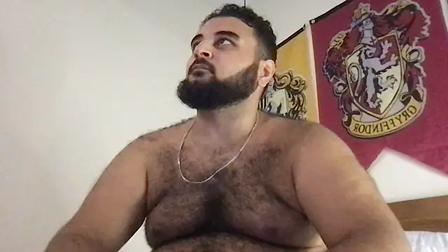 teddy_alan webcam