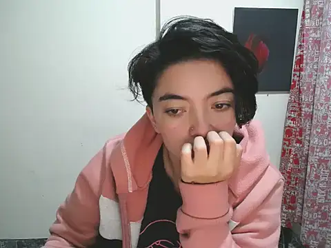 Came-II webcam