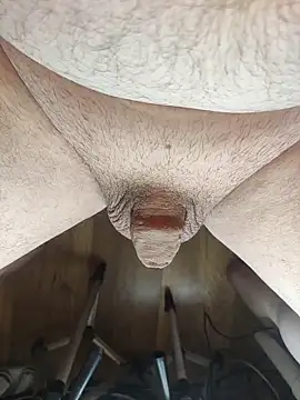 TobyDick13 webcam