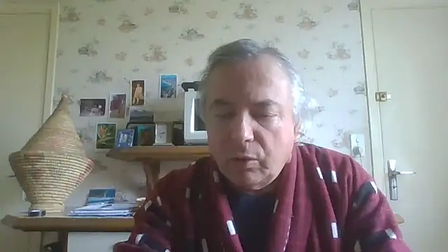 gegevincent5 webcam