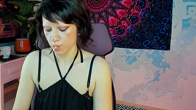 LidaDarknet webcam