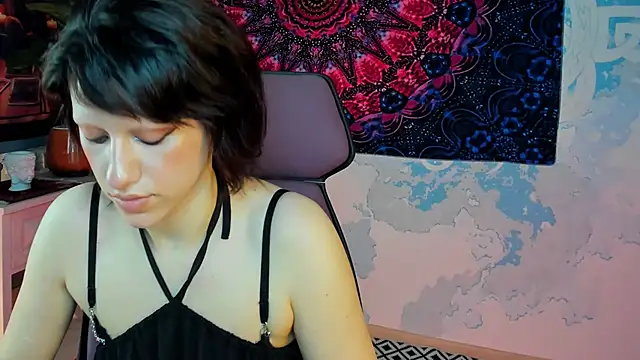 LidaDarknet webcam