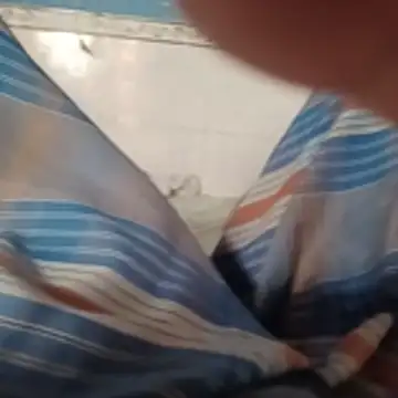 sarif-2 webcam