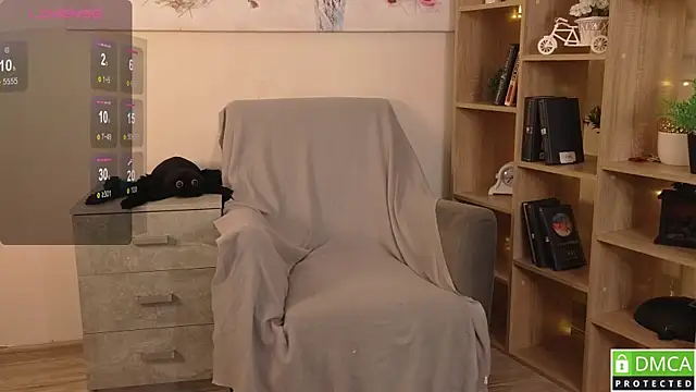 Sue_Sanders webcam