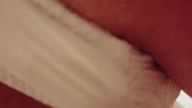 hono__38 webcam