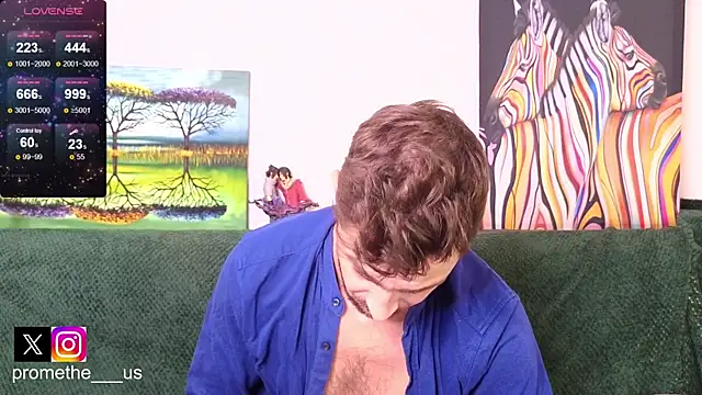 Promethe_us webcam