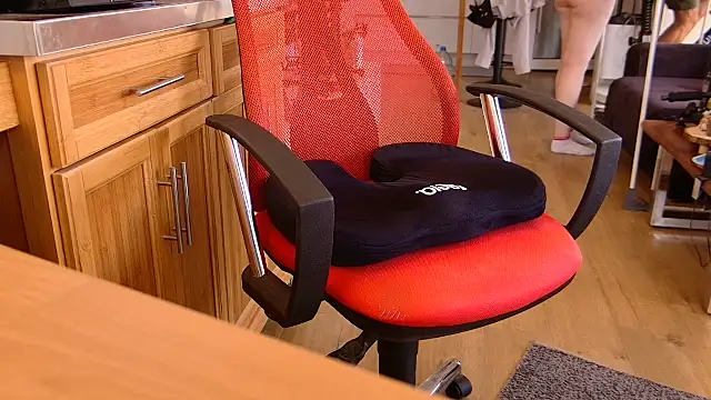 Lisa_Sack webcam