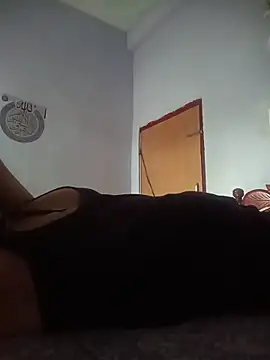 Hansikatelugu webcam