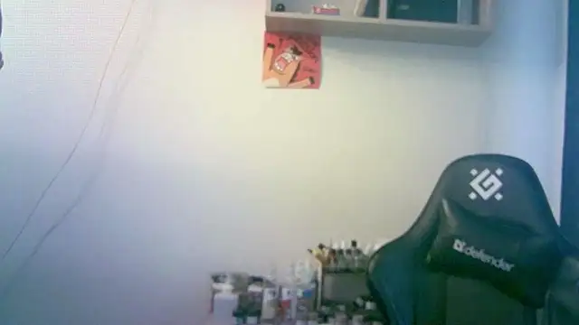 SirAbuser webcam