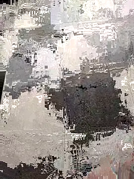 devshow03 webcam