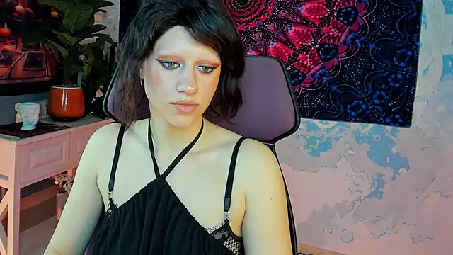 LidaDarknet webcam