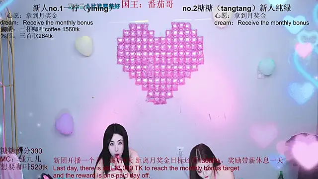 CCTW-100 webcam