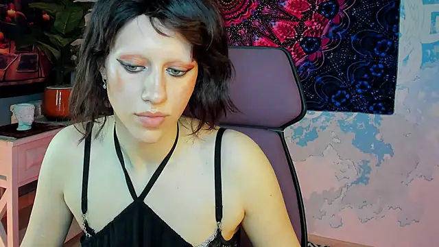 LidaDarknet webcam