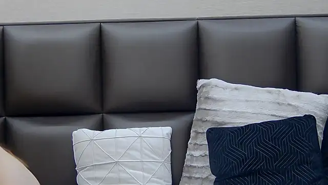 FoxyJoy webcam