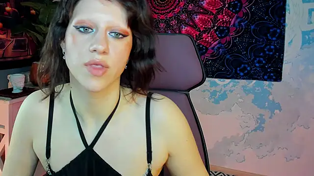 LidaDarknet webcam