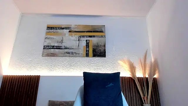 jean_sneider webcam