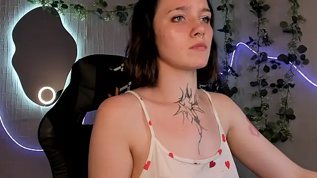 Elastikisss webcam