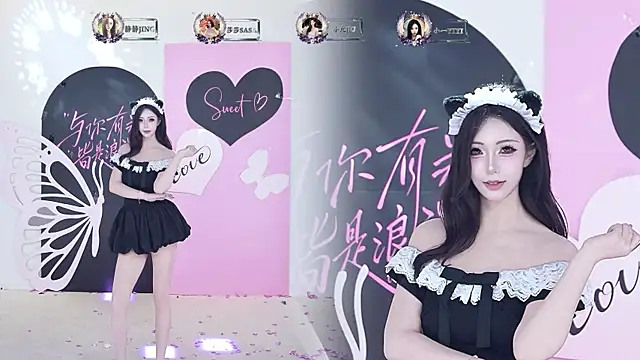 TY-002 webcam