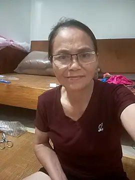 Vieekee webcam