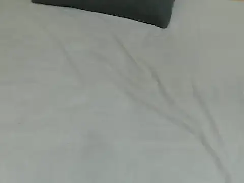 lynnsee webcam