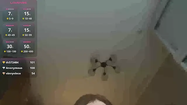 MisaSallis webcam