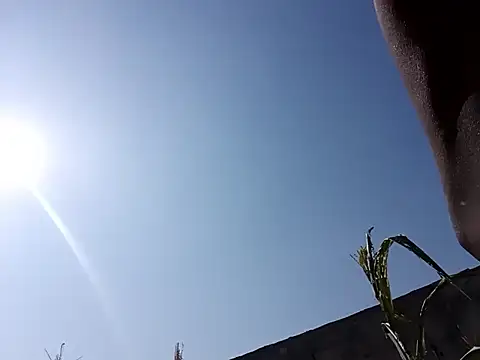 nzanizy live cam