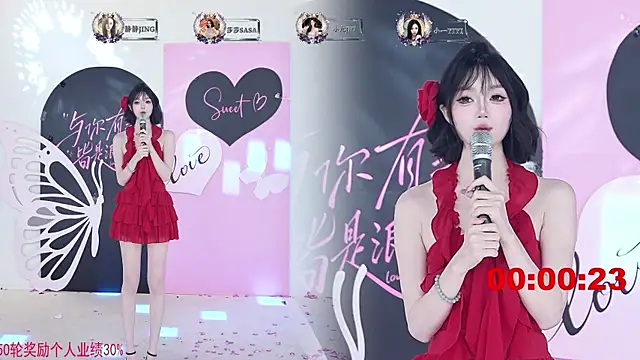 TY-002 webcam