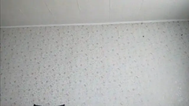 FrancesSrygley webcam