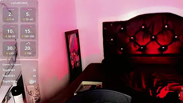 rosedewitt webcam