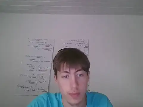 VelvetRagottiOG webcam