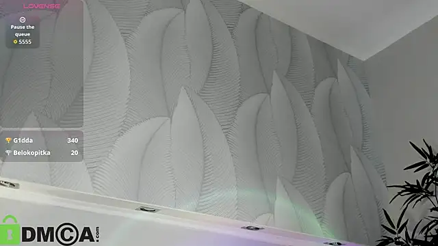 Krysadapp live cam